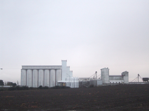 Planta Carozzi